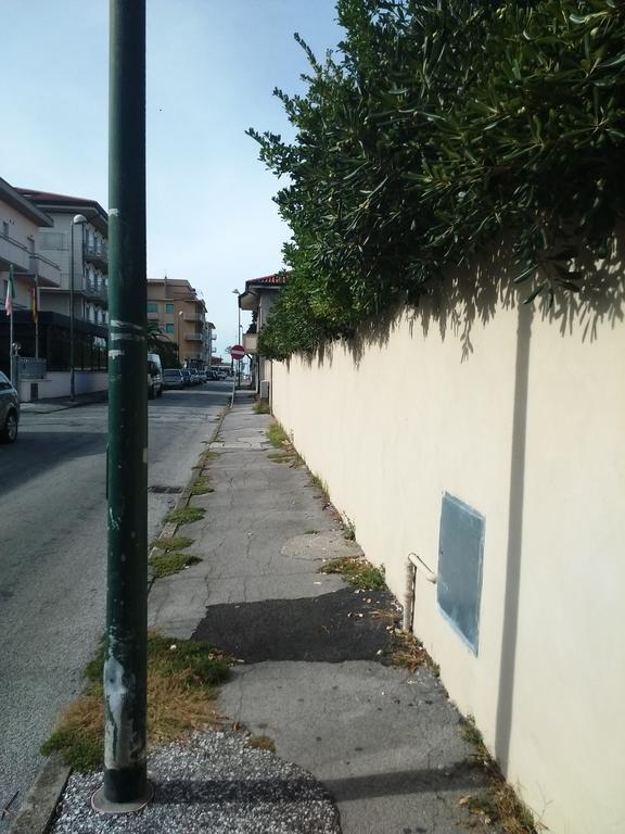 Villa Sophia Mare 1 Camaiore Bagian luar foto